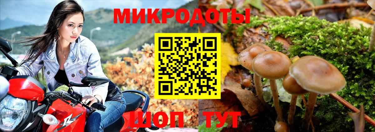 Курганинск  Псилоцибиновые грибы мицелий  Вход с VPN 